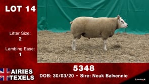Lot #14 - 5348