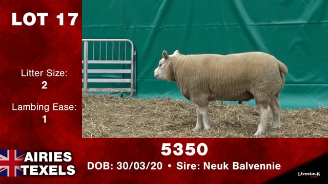 Lot #17 - 5350