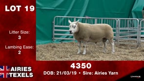 Lot #19 - OUT -- 4350 -- OUT