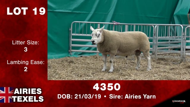 Lot #19 - OUT -- 4350 -- OUT