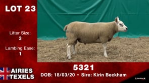Lot #24 - 5297