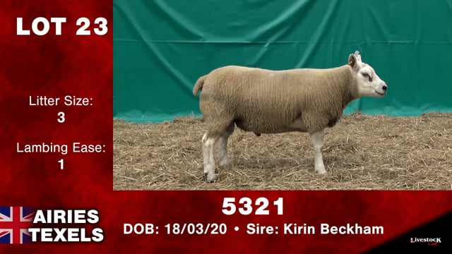 Lot #24 - 5297