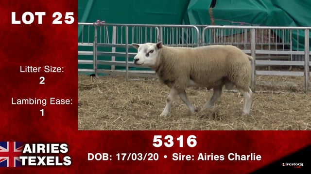 Lot #25 - 5316