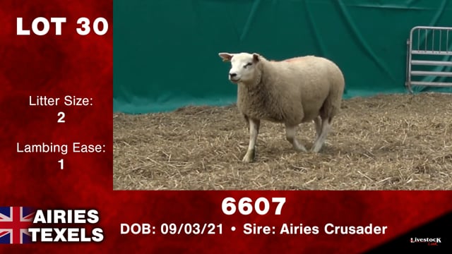 Lot #30 - 6607