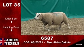 Lot #35 - 6587