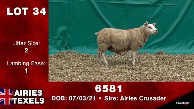 Lot #34 - 6581