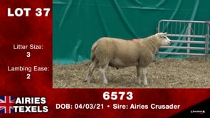 Lot #37 - 6573
