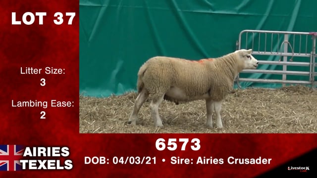 Lot #37 - 6573
