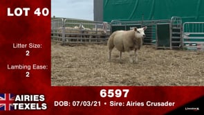 Lot #40 - 6597