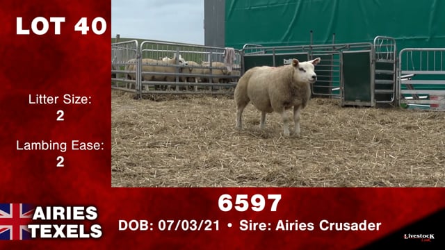 Lot #40 - 6597