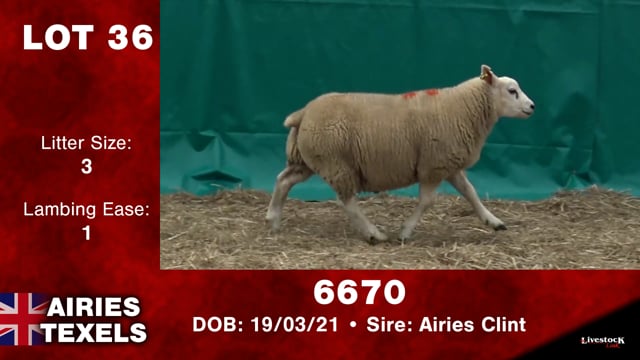 Lot #36 - 6670