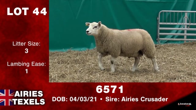Lot #44 - 6571