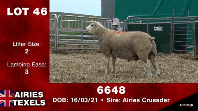 Lot #46 - 6648