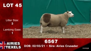 Lot #45 - 6567