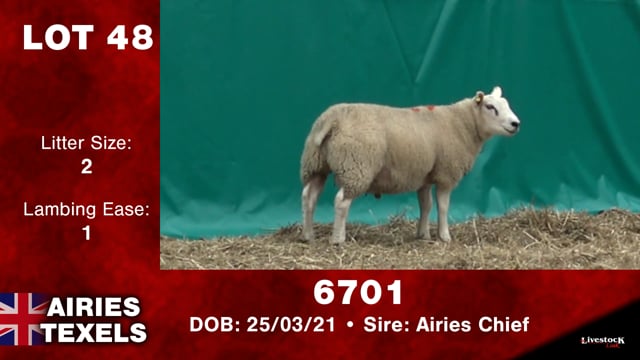 Lot #48 - 6701