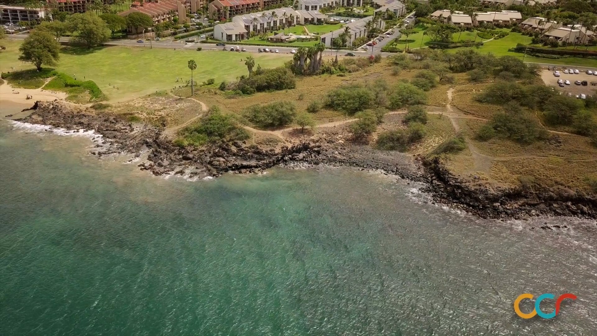Seabirds of Maui - A CCR Virtual Field Study Video
