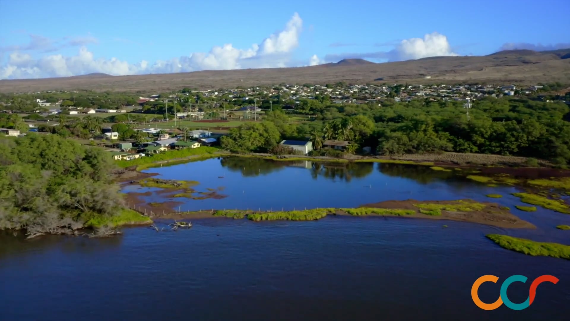 Koheo Wetlands on Molokaʻi - A CCR Virtual Field Study Video