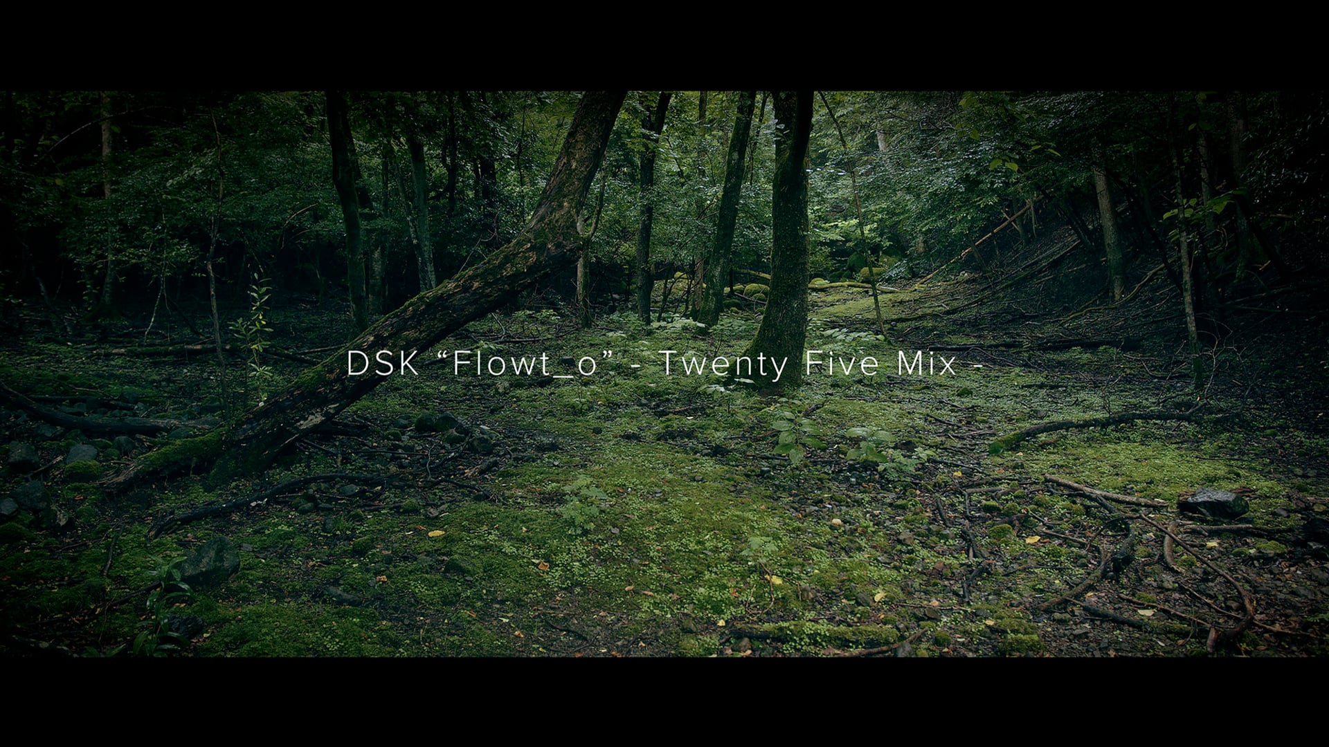 DSK "Flowt_o" - Twenty Five Mix -