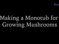 Building a Monotub for Growing Mushrooms