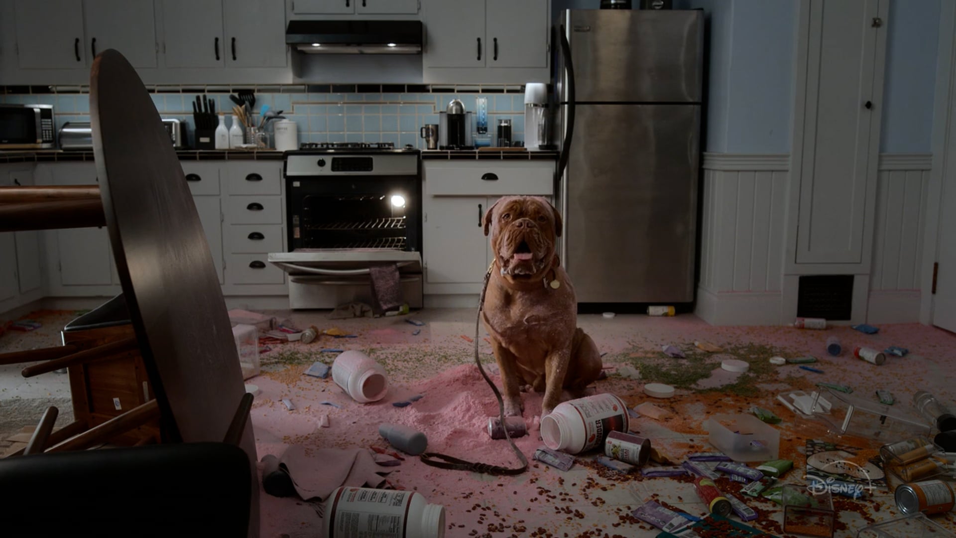 Turner & Hooch - Official Trailer "Somebody"