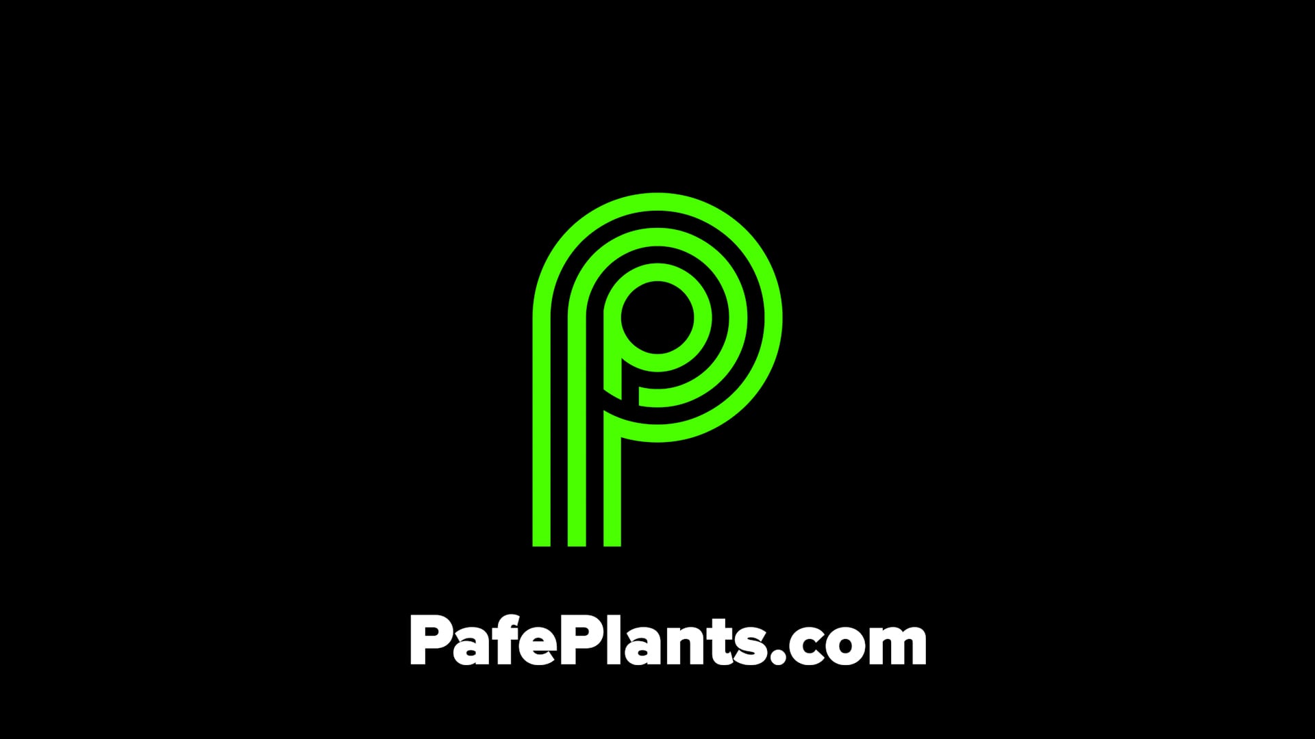 Pafe Plants Commercial
