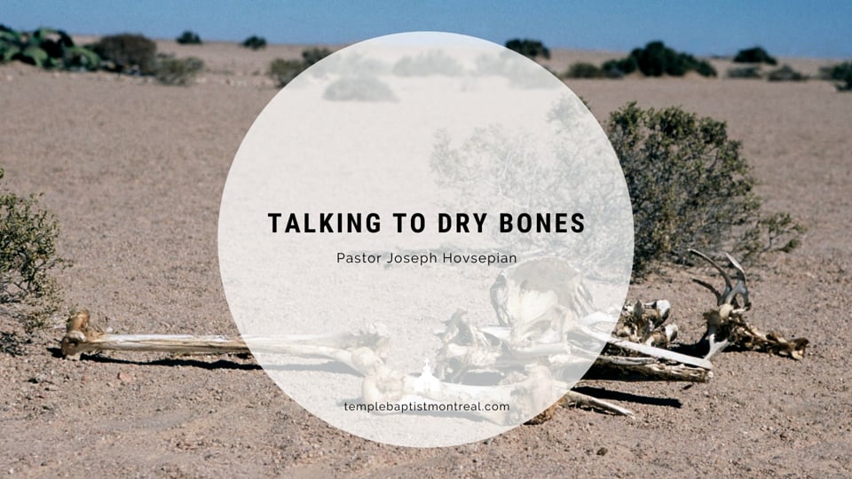 Talking to Dry Bones