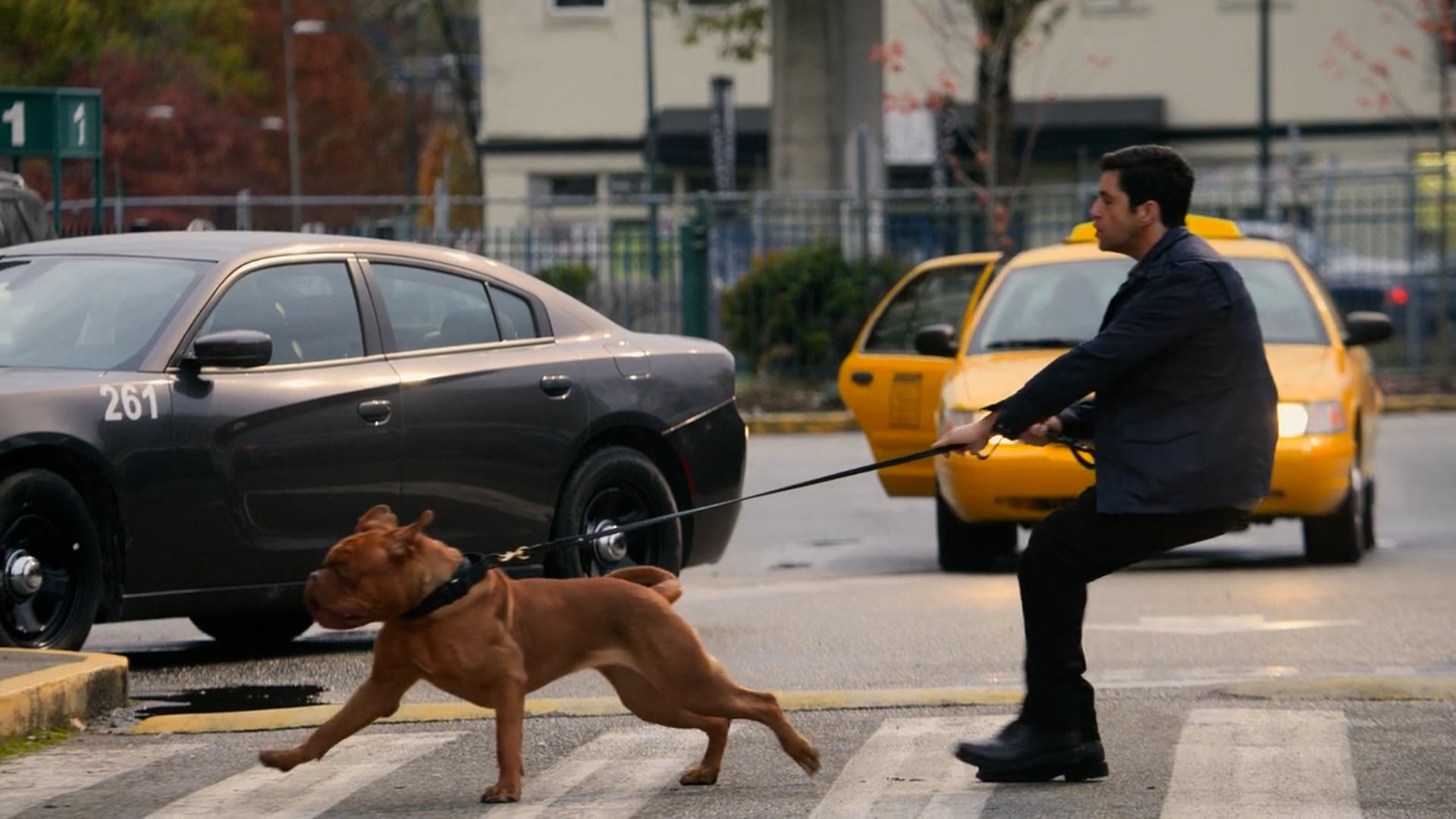 Turner & Hooch -  30 "All Episodes"
