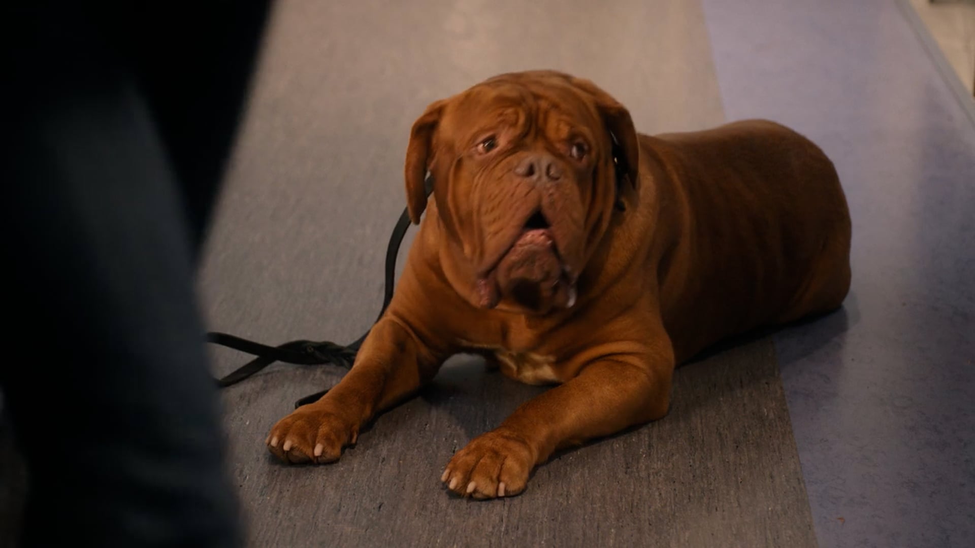 Turner & Hooch -  30 "Somebody"