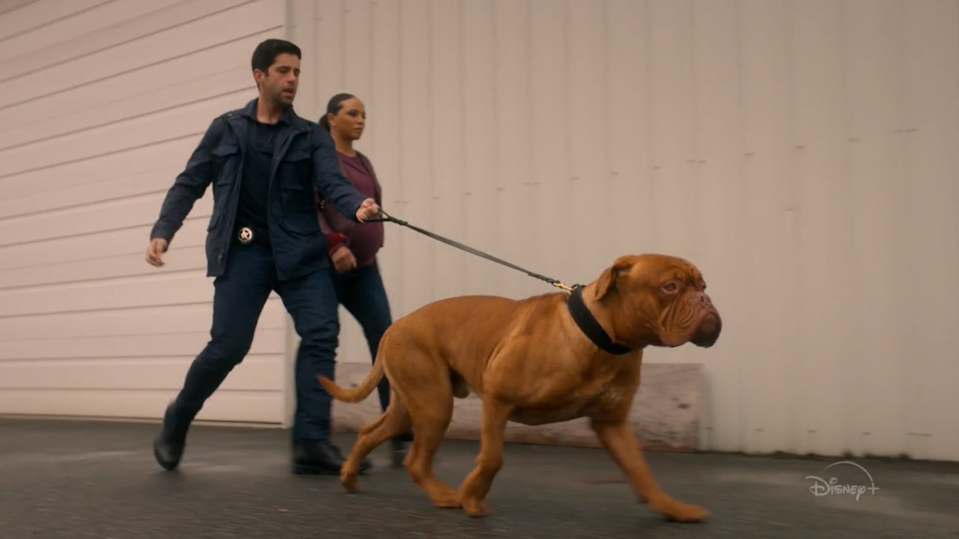 Turner & Hooch -  60 "Somebody"