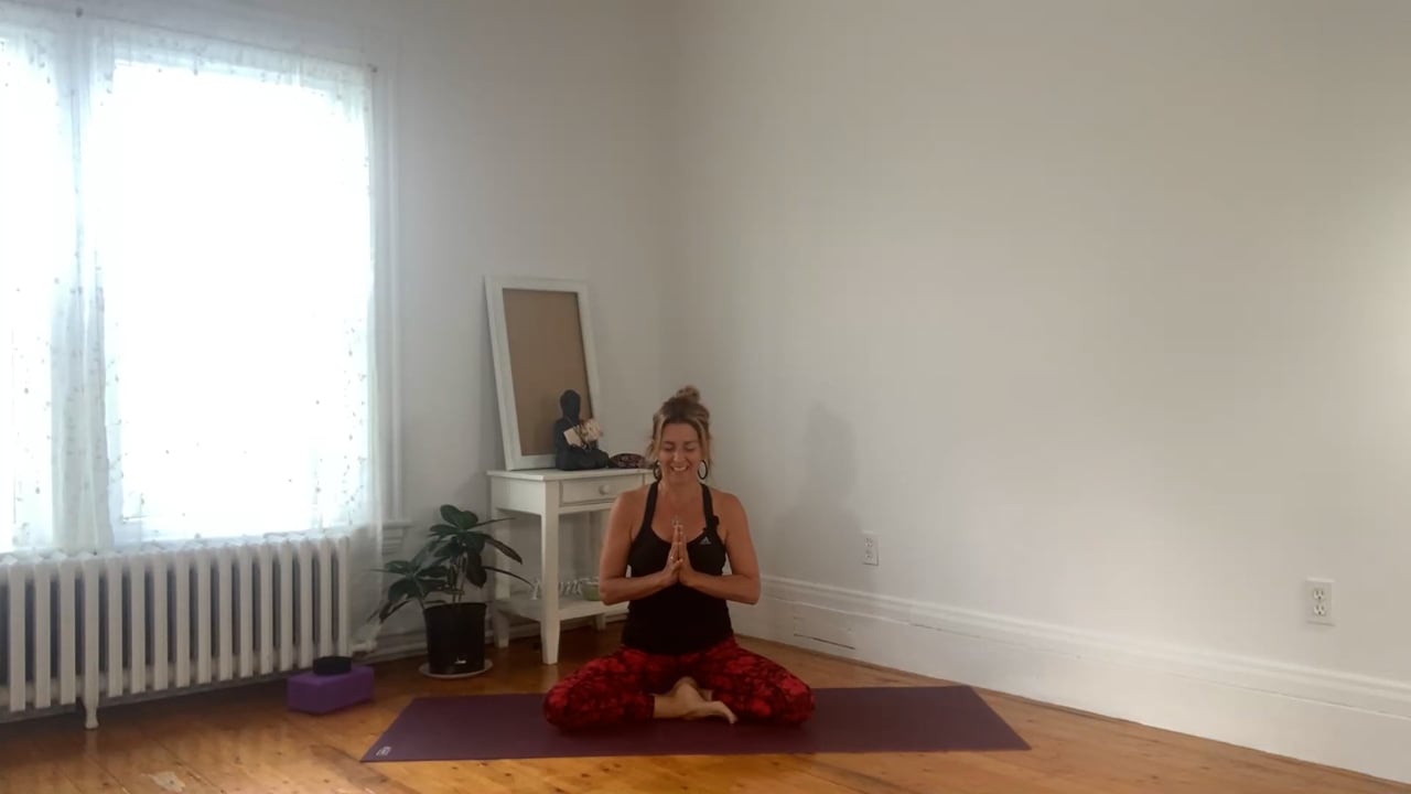 6.1 Vinyasa : Introduction au Vinyasa - force et cardio! (49 minutes)