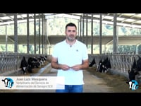 Presentación de Juan Luis Mosquera