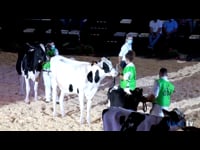 Campeonato de terneras y novillas