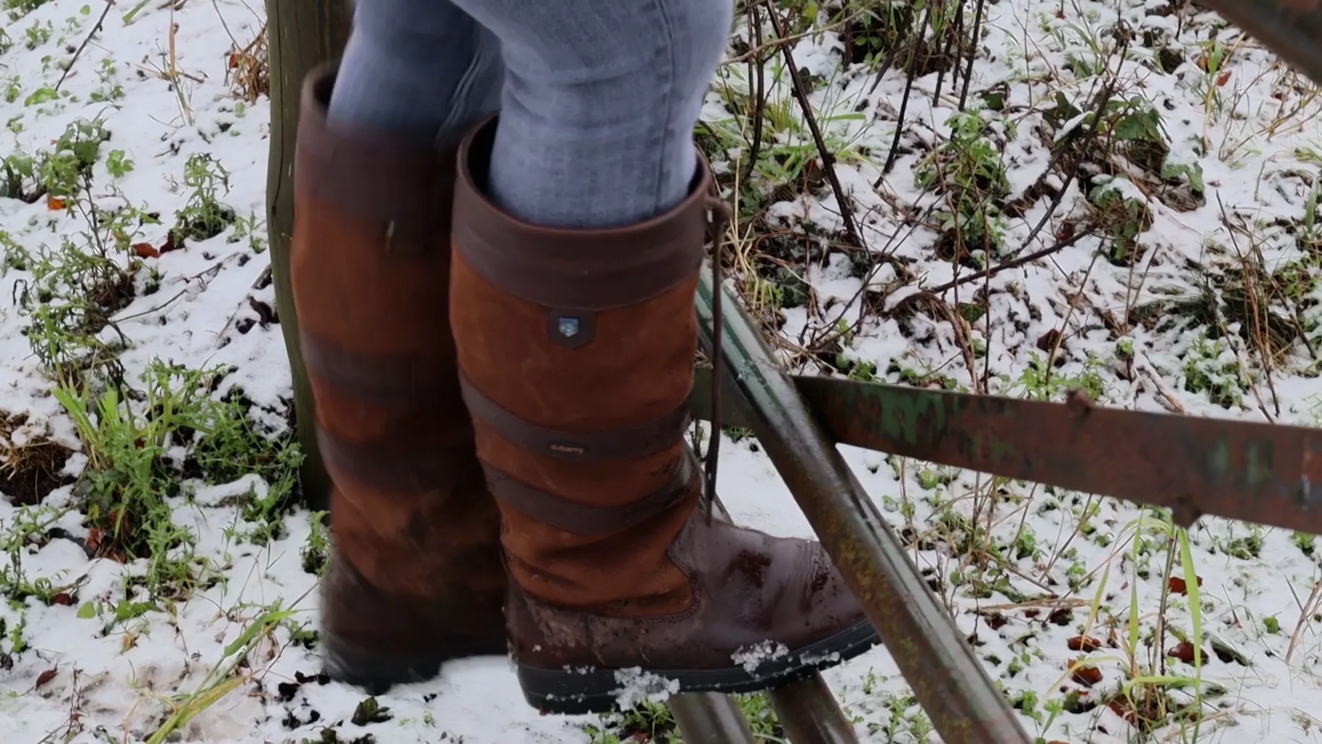 Dubarry Boot with card