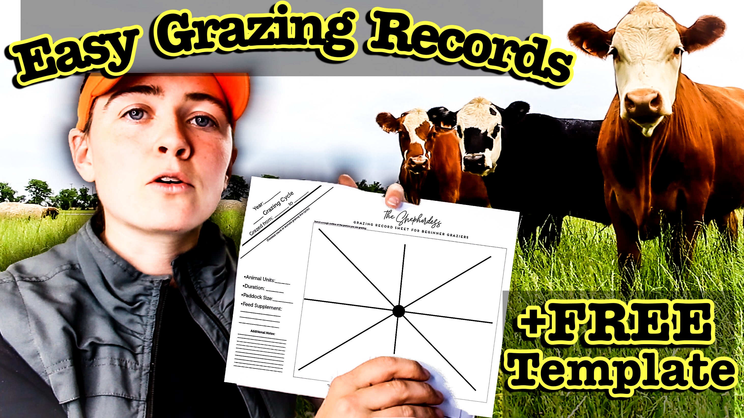 record-rotational-grazing-system-for-cattle-sheep-and-cows-on-vimeo