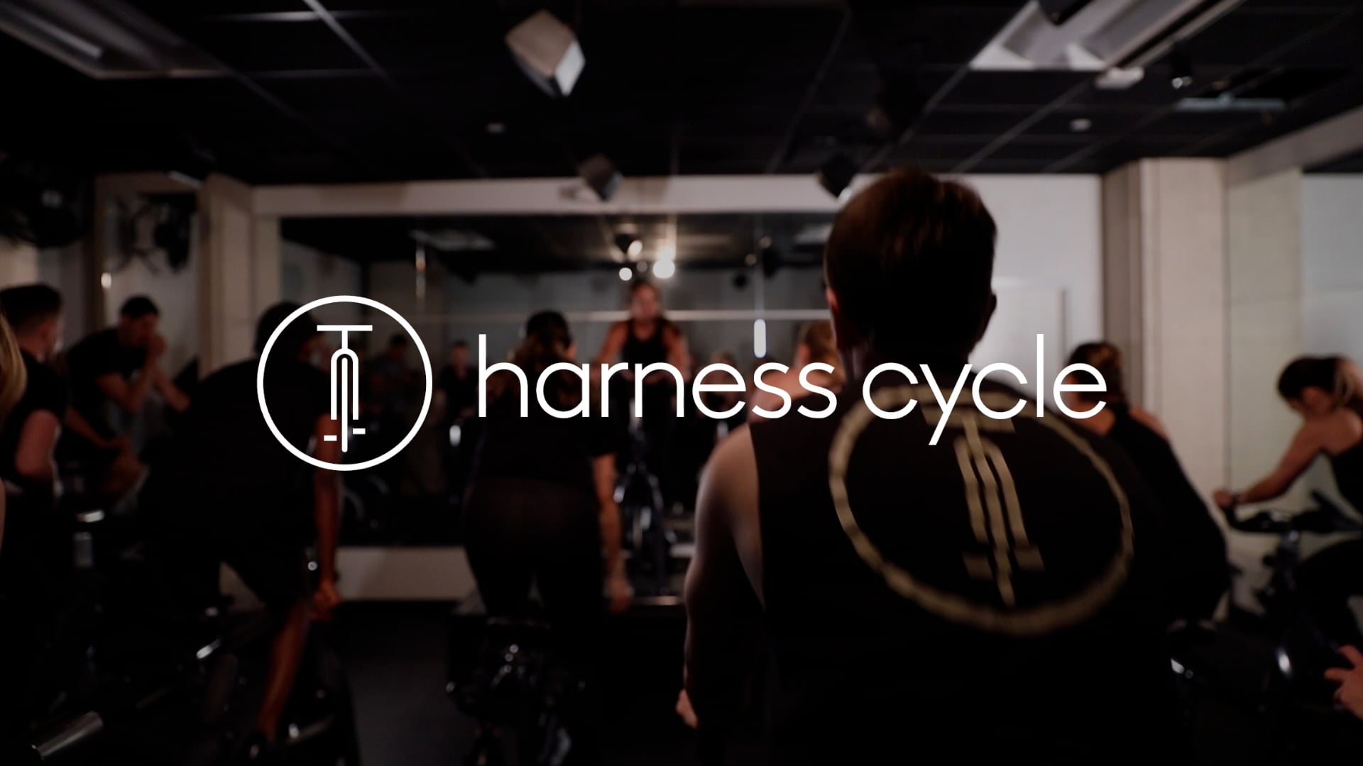 Harness Cycle Culture Video