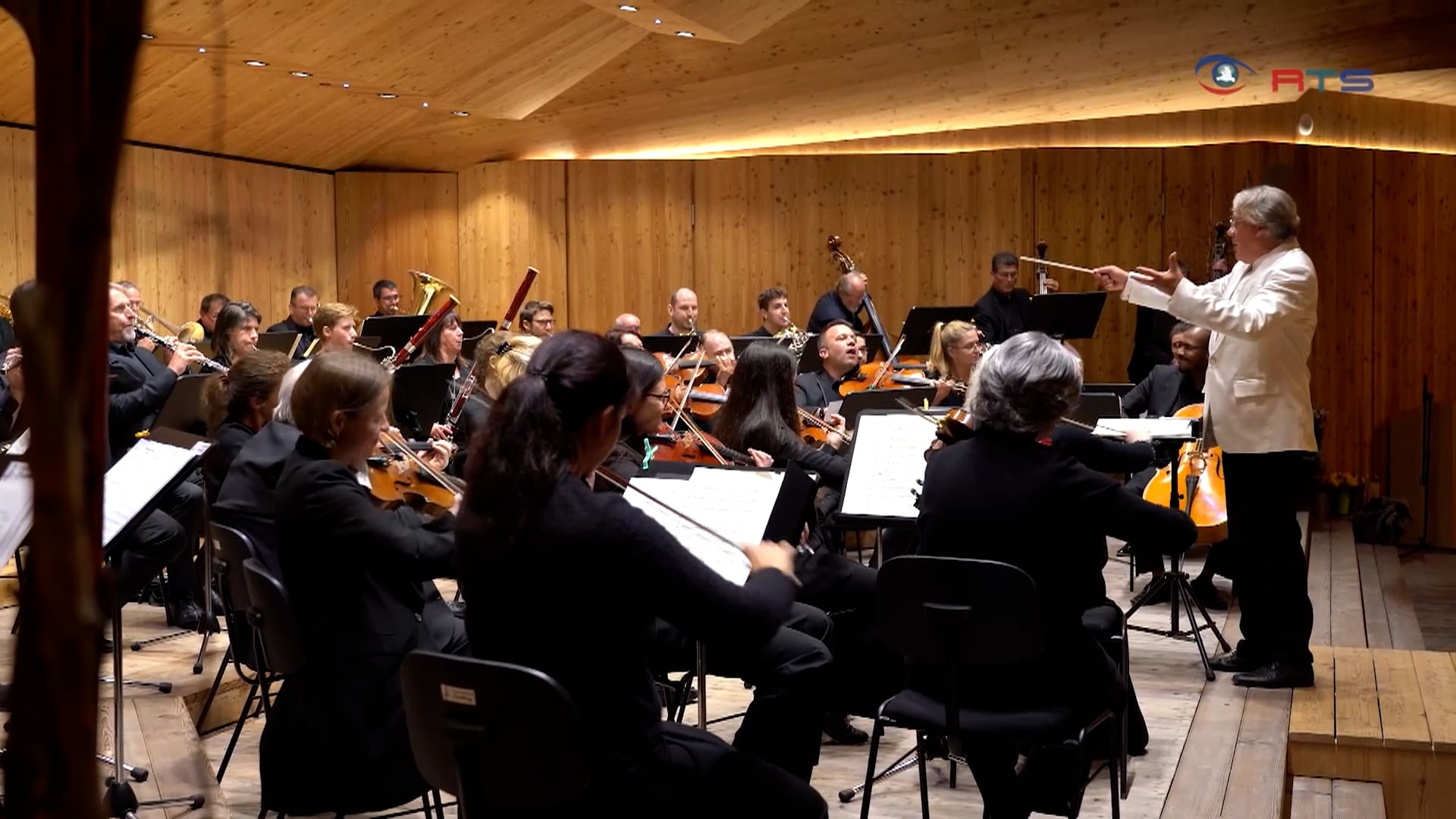 salzart-festival-feiert-20jaehriges-jubilaeum-mit-highlights-wie-dem-austria-festival-symphony-orchestra