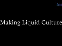Making Liquid Culture for Mushroom Cultivation
