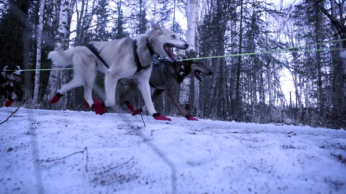 Twin Mushers Parajumpers Stories
