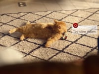 TV Ad - Nescafé Gold Cappuccino - Make your Me Moment Matter