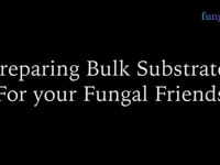 Preparing Bulk Substrate for Mushroom Cultivation