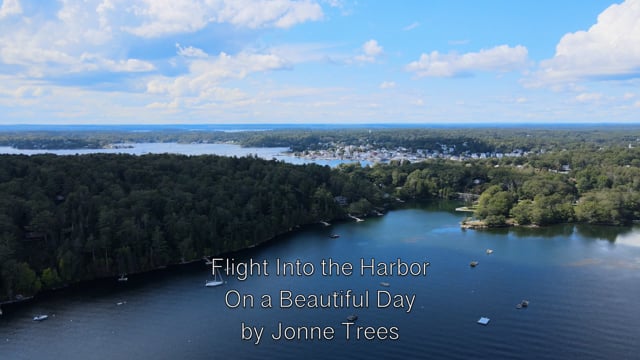 Flight Into the Harbor