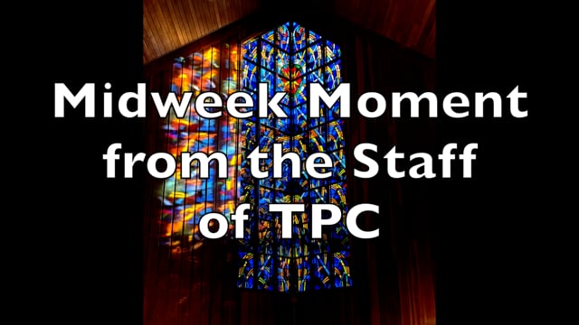 Midweek Moment from the TPC Staff