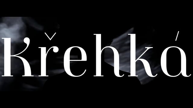 Křehká - Michaela Jonczy