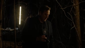 vignette de The Detectives