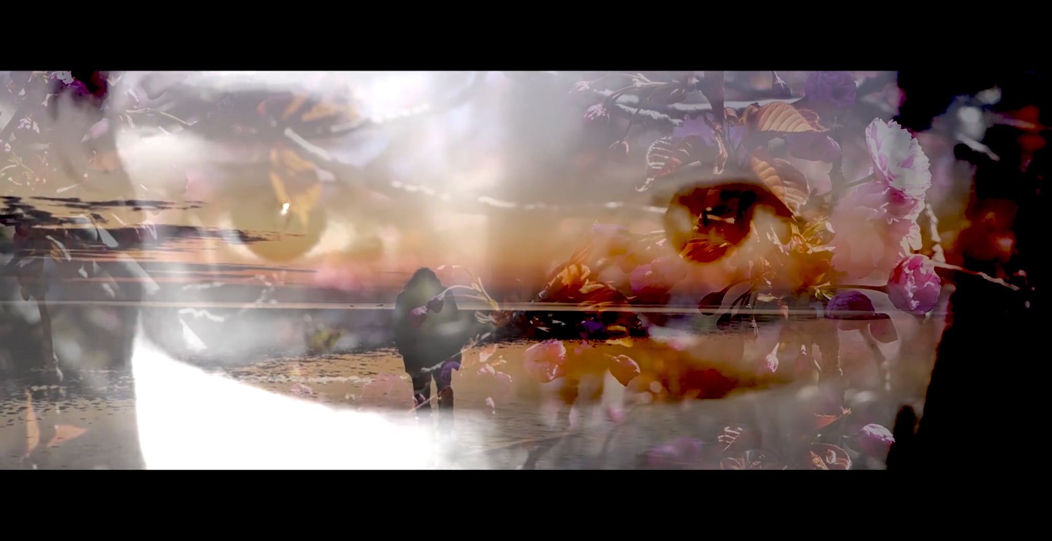 Reflektivní - Michaela Jonczy