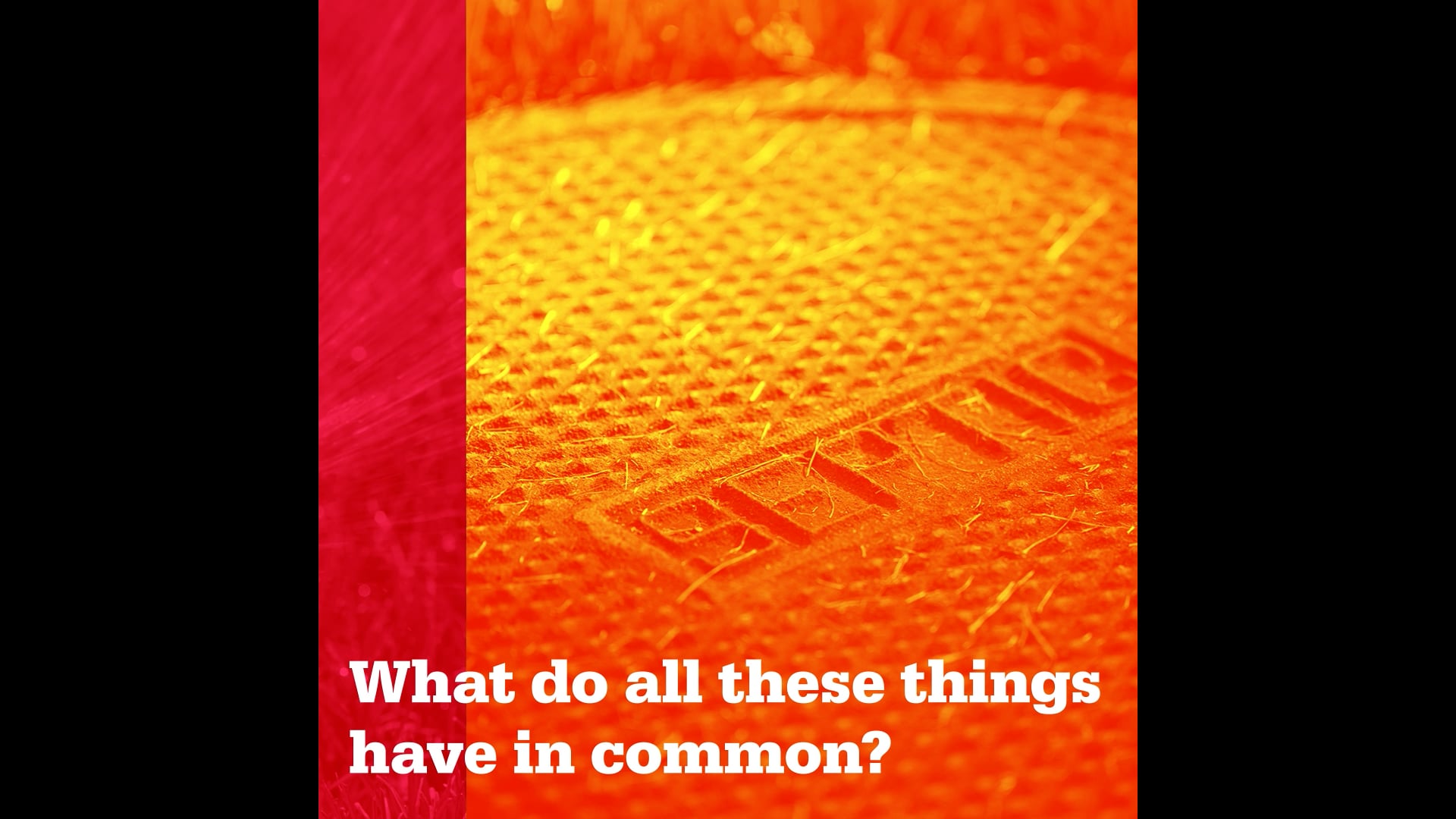 Contact-811-Things-in-Common