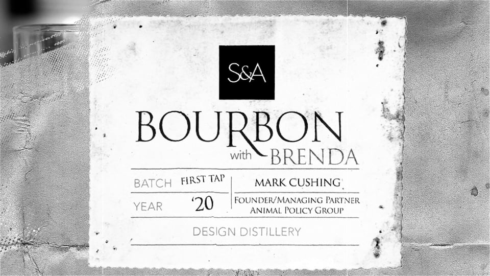 The Pope, the Vatican and pets. What’s this combination all about?