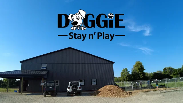 Stay and best sale play doggy daycare