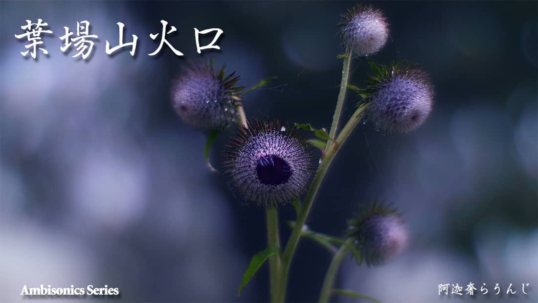 日本植物学の父 牧野富太郎博士のこと My Monologue 阿迦奢books Amix Soundworks