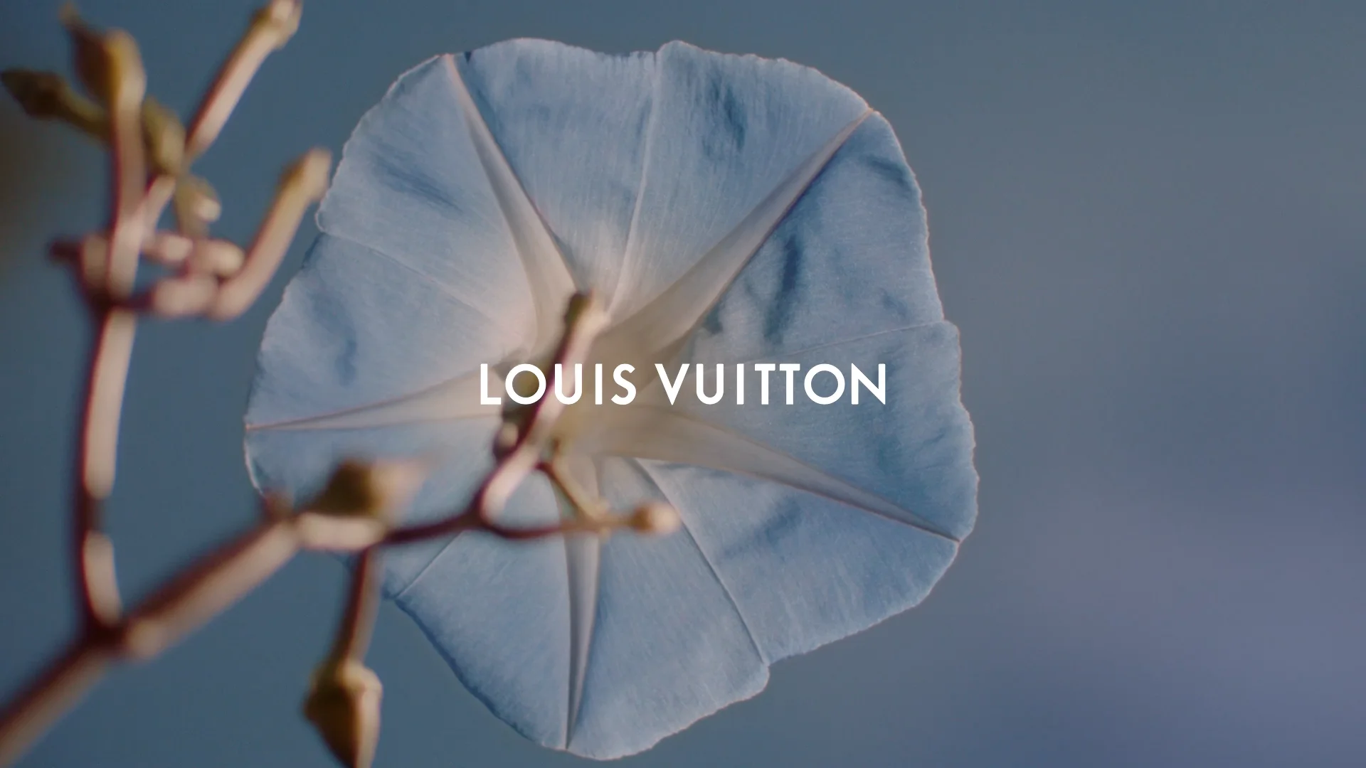 Dreams, Fears & Memories' - Louis Vuitton SS20 on Vimeo